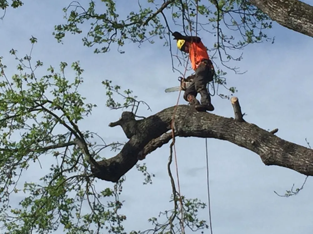 Professional garden landscaping experts serving Red Springs, NC - H&L Tree Service