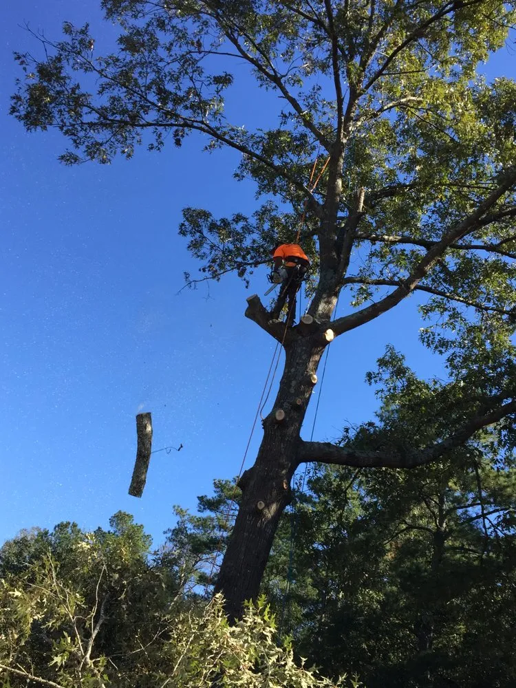 Expert lawn care service experts serving Red Springs, NC - H&L Tree Service