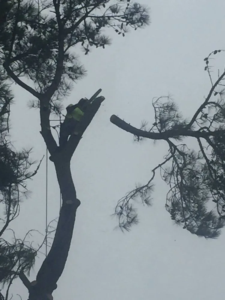 Reliable outdoor landscaping for homes across Red Springs, NC - H&L Tree Service