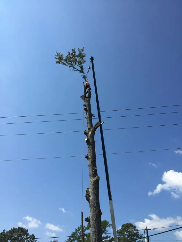 Professional landscaping services with custom design across Red Springs, NC - H&L Tree Service