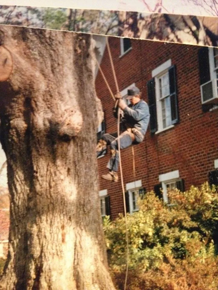 Expert yard cleanup service in Red Springs, NC by H&L Tree Service