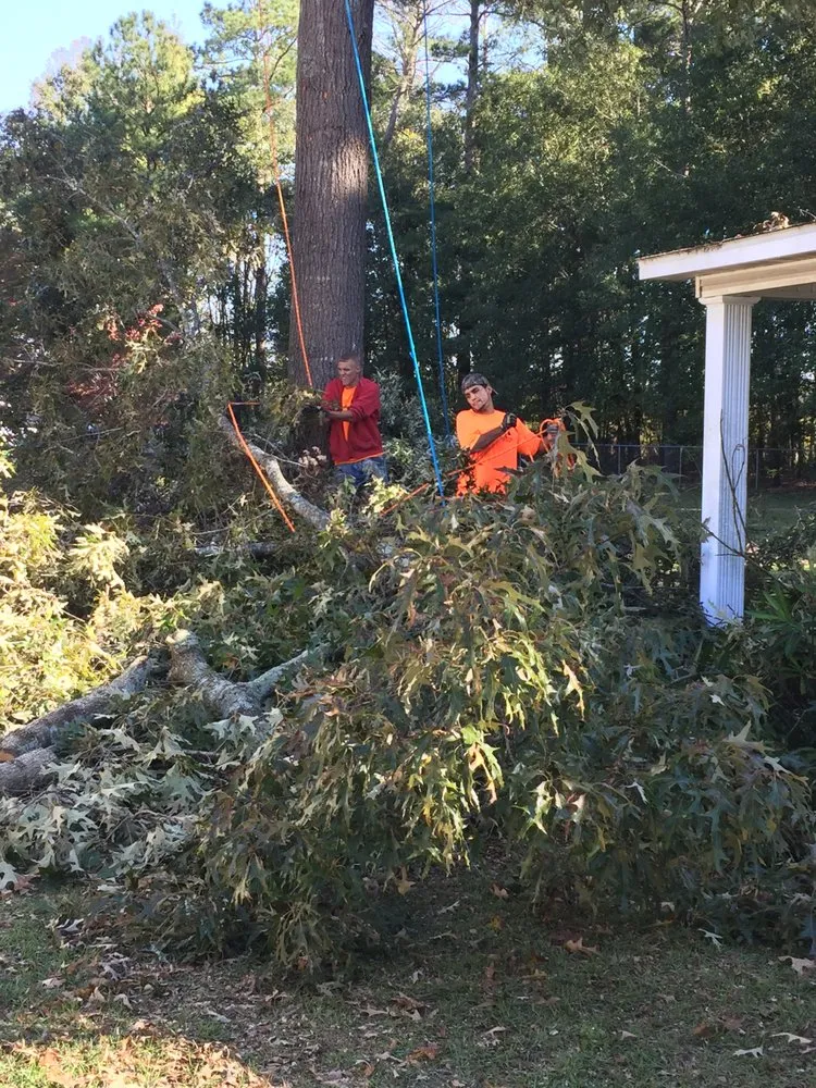 Expert outdoor landscaping experts serving Red Springs, NC - H&L Tree Service