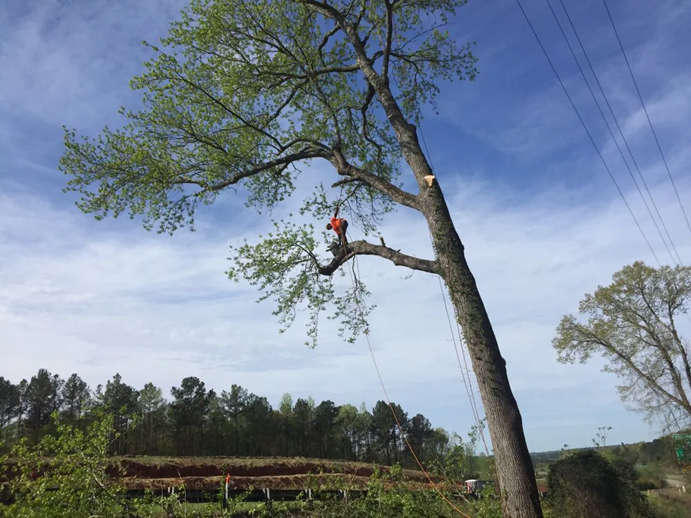 Top-rated outdoor landscaping in Red Springs, NC by H&L Tree Service