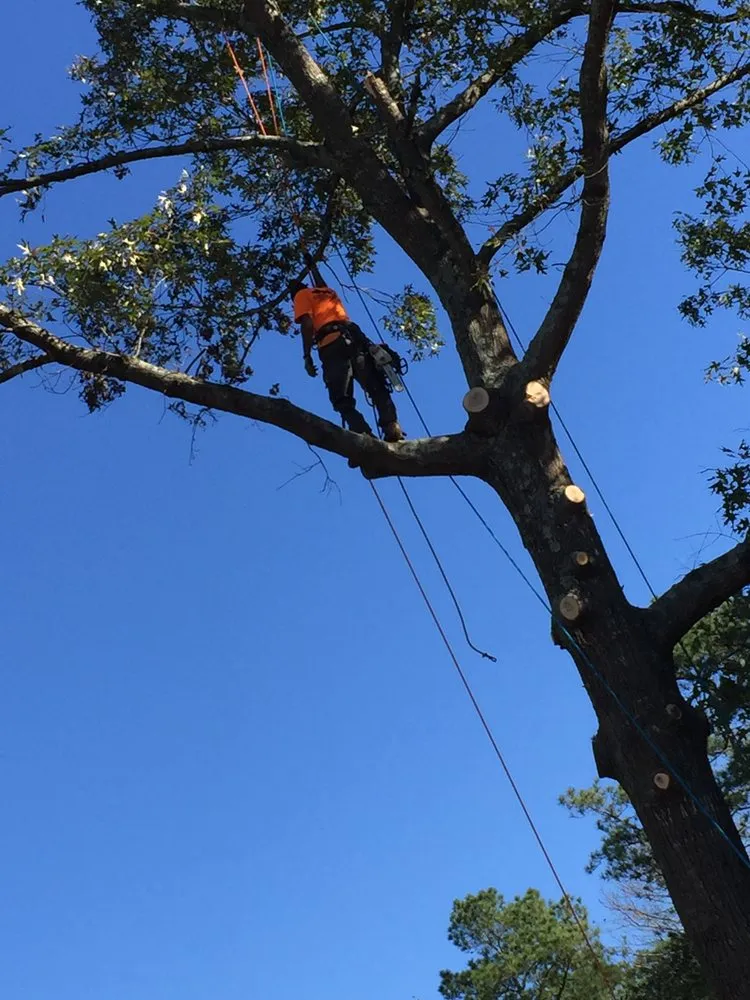 Expert lawn mowing service for year-round maintenance across Red Springs, NC - H&L Tree Service