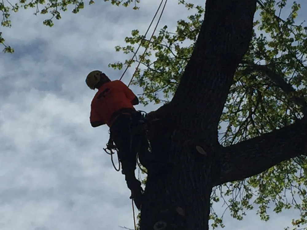 Local residential landscaping for homes across Red Springs, NC - H&L Tree Service