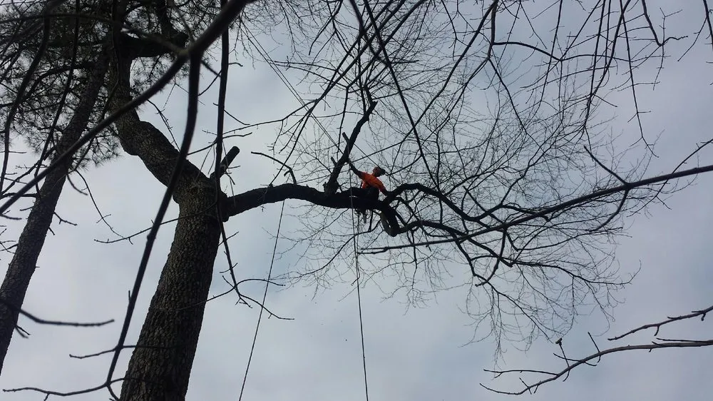 Top-rated residential landscaping for homes in Red Springs, NC by H&L Tree Service