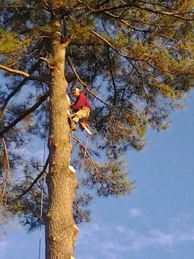 Custom landscaping services in Red Springs, NC by H&L Tree Service