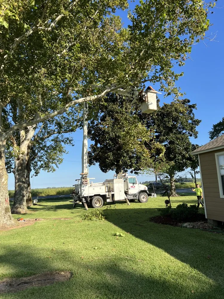 Reliable outdoor landscaping with custom design in Hessmer, LA by HLA Lawn & Tree Service
