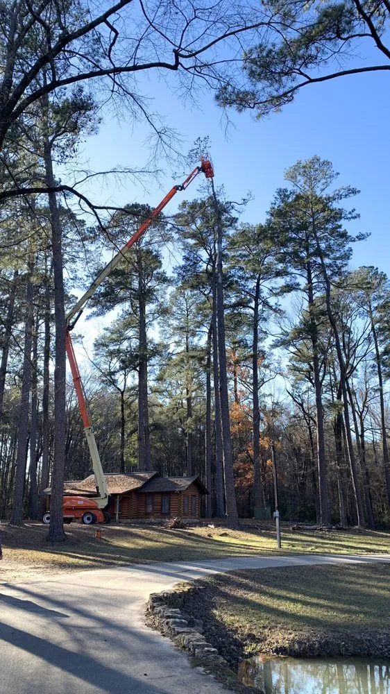 Affordable residential landscaping in Hessmer, LA - HLA Lawn & Tree Service