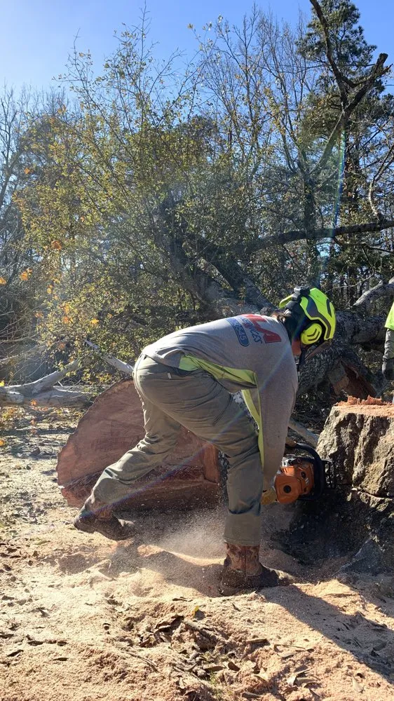Custom landscaping services in Hessmer, LA by HLA Lawn & Tree Service