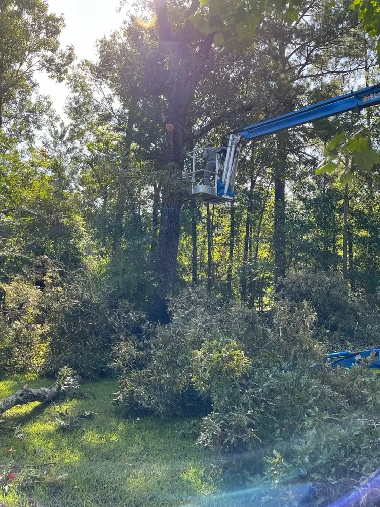 Affordable lawn mowing service experts serving Hessmer, LA - HLA Lawn & Tree Service