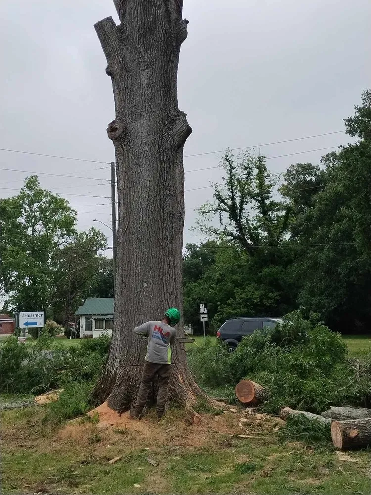 Local lawn care service experts serving Hessmer, LA - HLA Lawn & Tree Service