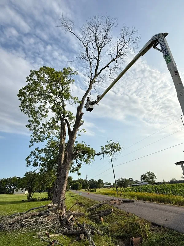 Local outdoor landscaping in Hessmer, LA by HLA Lawn & Tree Service