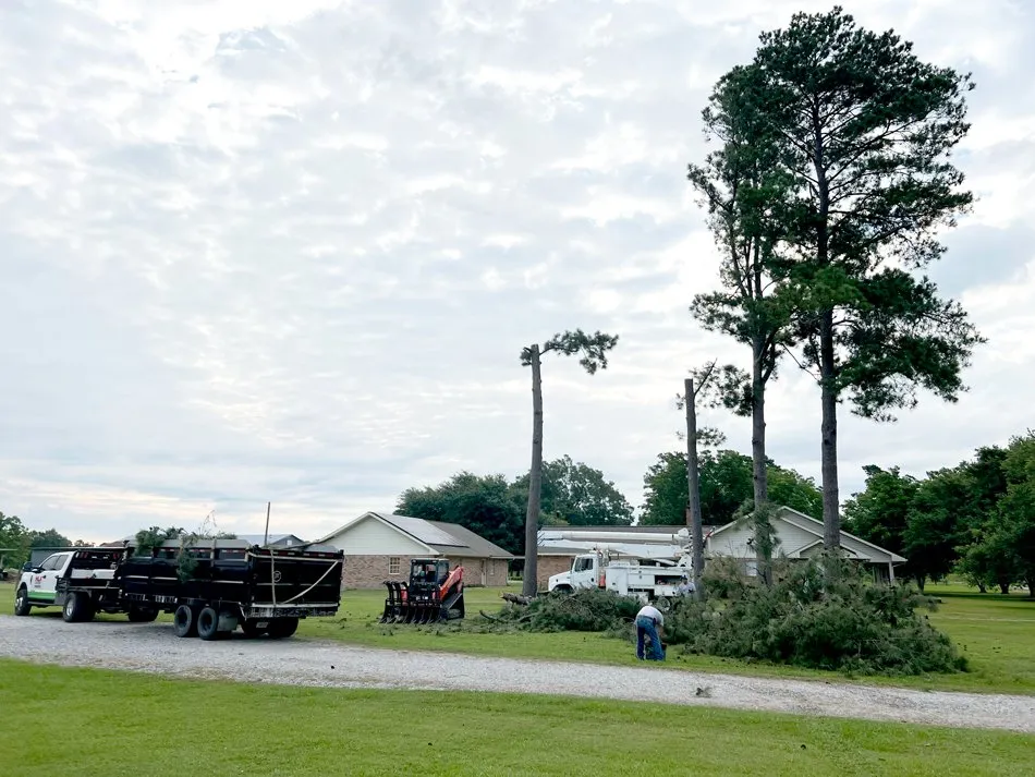 Expert yard maintenance for beautiful yards in Hessmer, LA by HLA Lawn & Tree Service