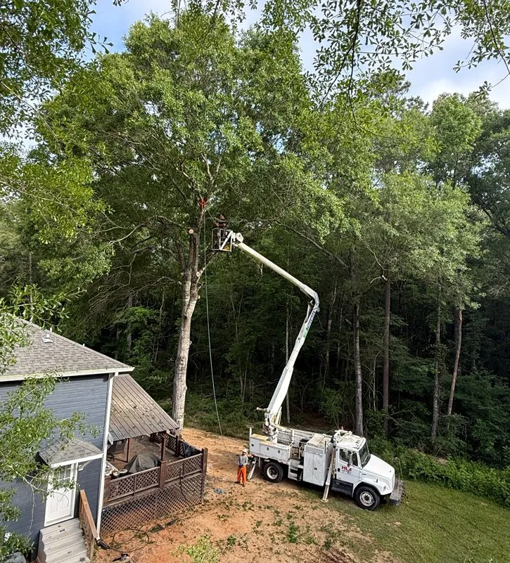 Custom garden landscaping in Hessmer, LA by HLA Lawn & Tree Service