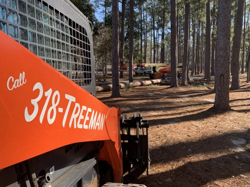 Local landscaping services in Hessmer, LA - HLA Lawn & Tree Service