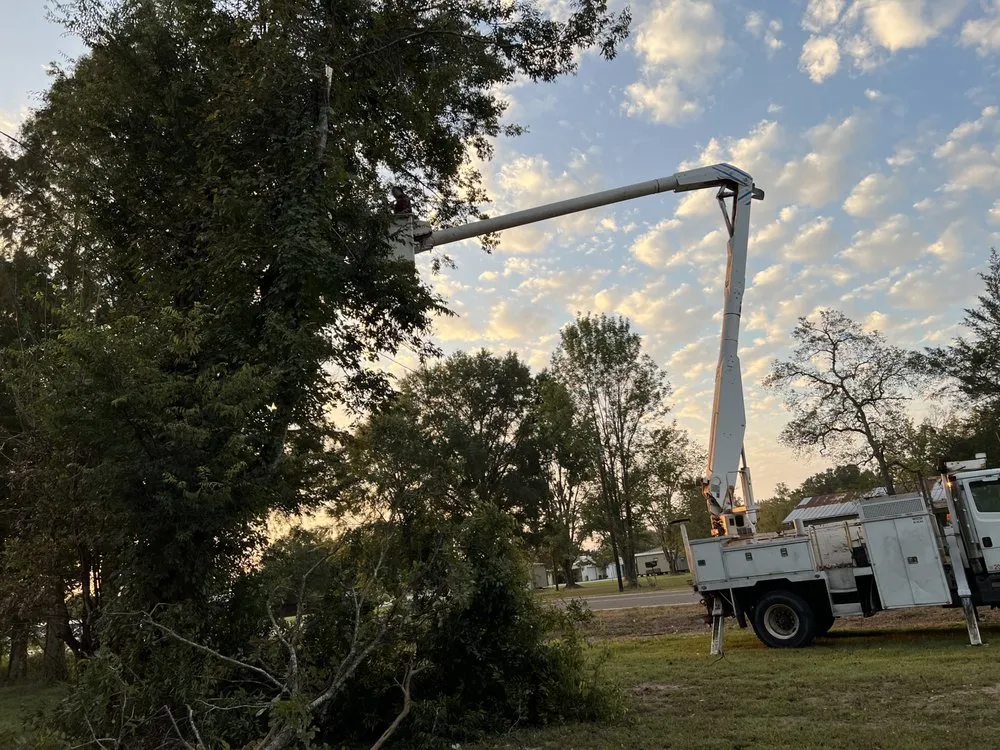 Professional landscaping services experts serving Hessmer, LA - HLA Lawn & Tree Service