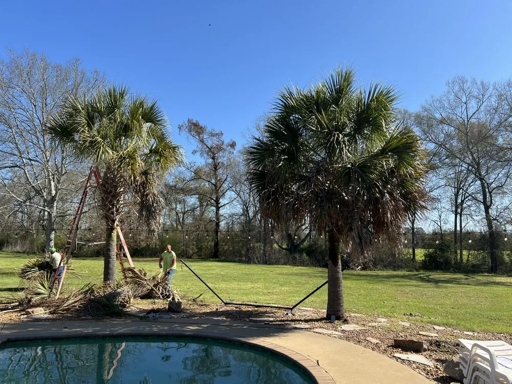 Affordable garden landscaping in Hessmer, LA by HLA Lawn & Tree Service