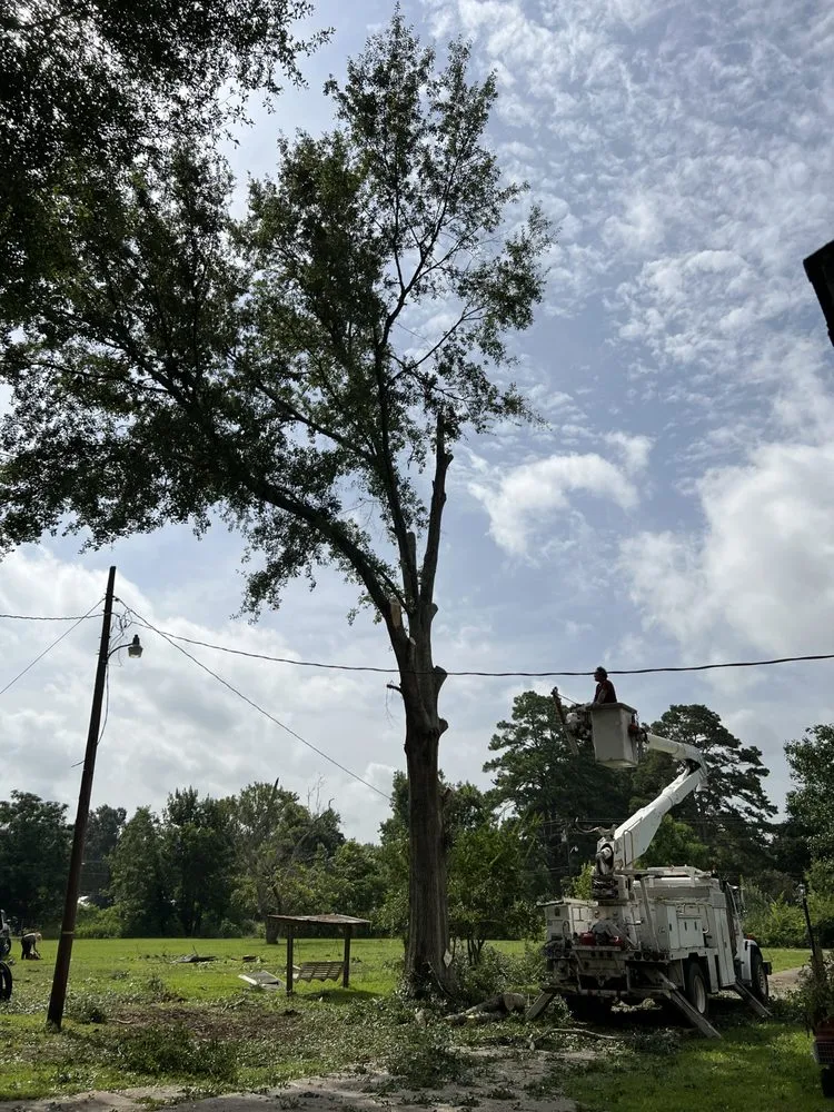 Expert lawn care service for beautiful yards in Hessmer, LA by HLA Lawn & Tree Service