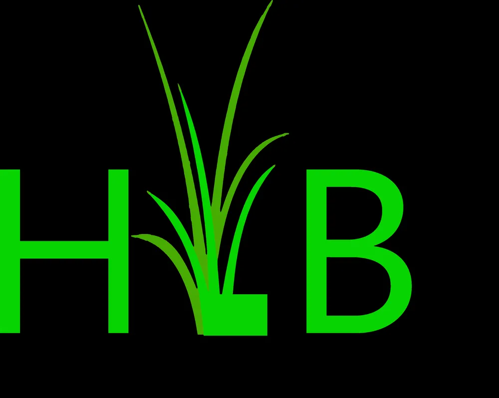 Affordable garden landscaping in Montgomery, TX by HLB Services