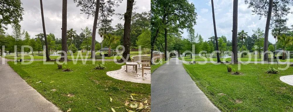 Expert landscaping services for homes across Montgomery, TX - HLB Services