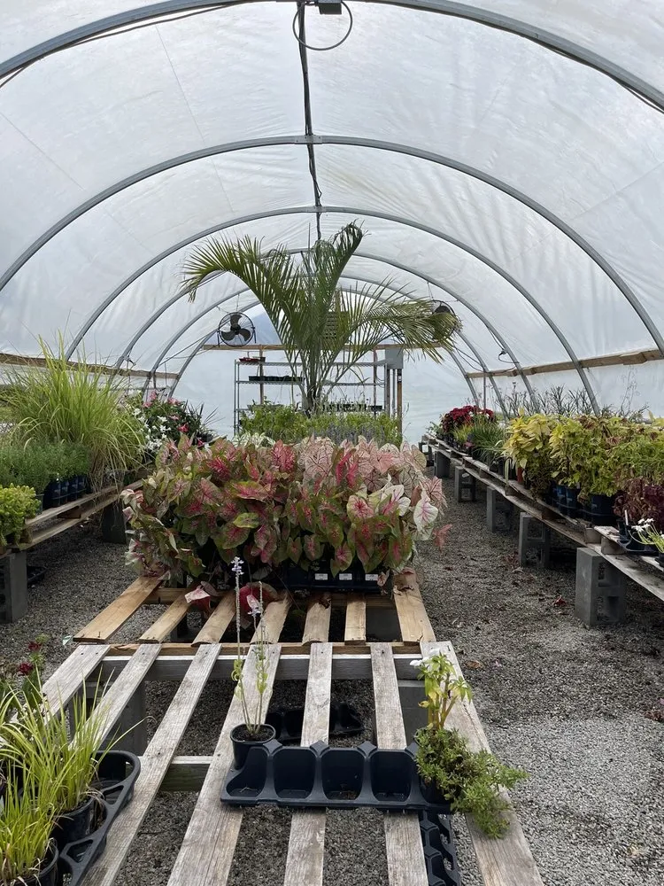 Local landscaping services in Midway, GA by HLH Nursery & Design