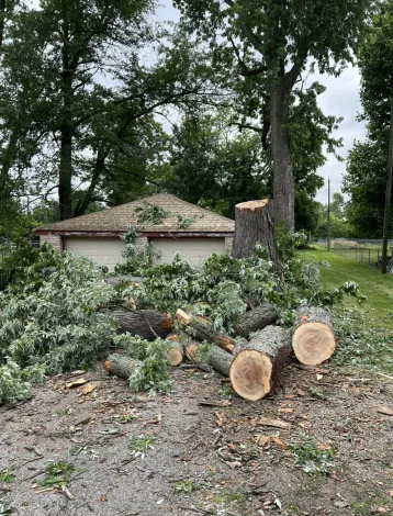 Professional yard maintenance experts serving Ladoga, IN - HLM Landscape