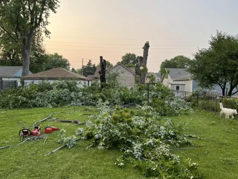 Top-rated garden landscaping in Ladoga, IN - HLM Landscape