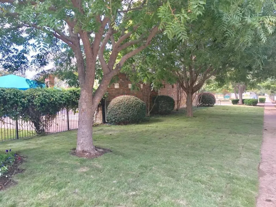 Top-rated landscaping services in Fort Worth, TX - HLN Landscaping