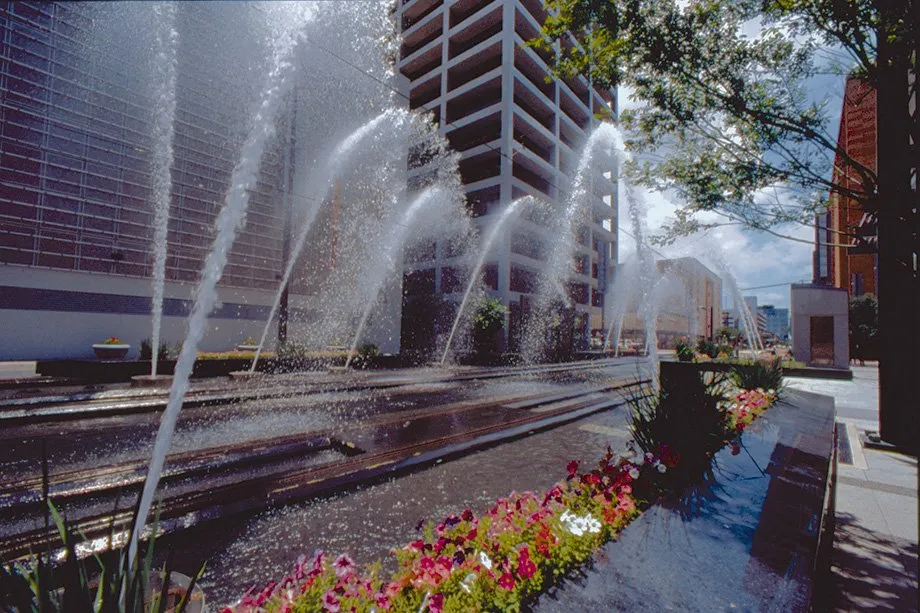 Custom yard cleanup service in Stafford, TX by HLS Landscape