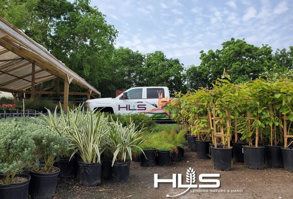 Professional lawn mowing service in Stafford, TX - HLS Landscape