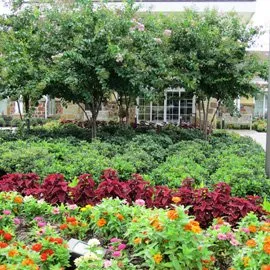 Professional yard maintenance in Stafford, TX - HLS Landscape