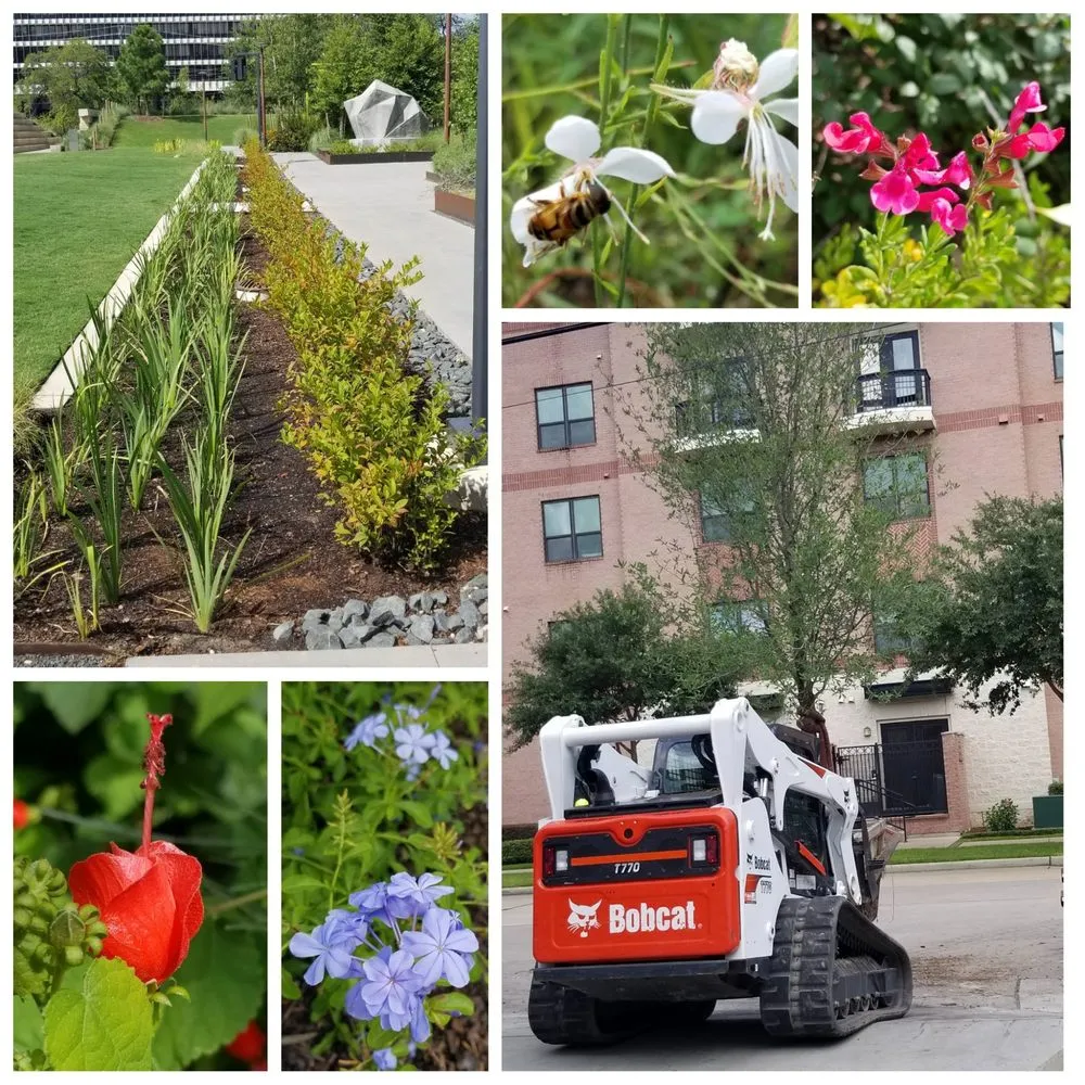 Top-rated outdoor landscaping for outdoor upgrades in Stafford, TX by HLS Landscape