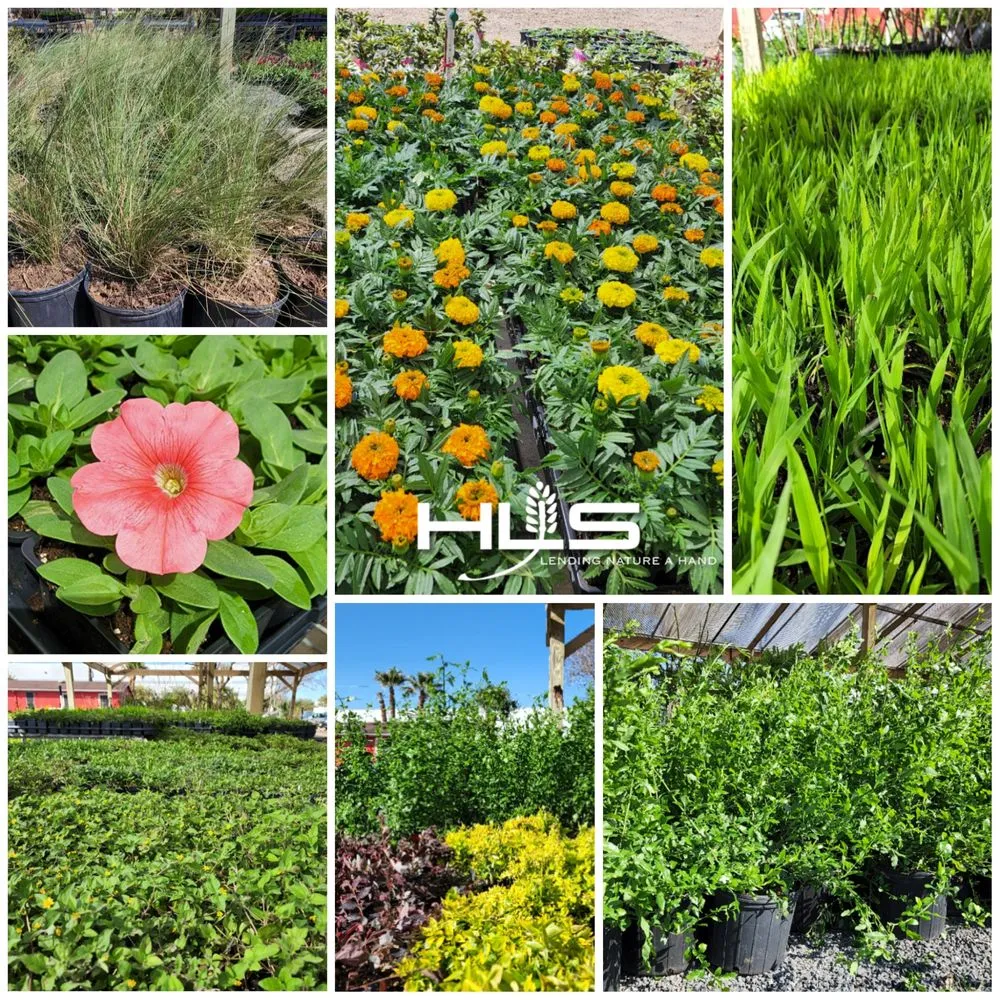 Expert outdoor landscaping in Stafford, TX by HLS Landscape