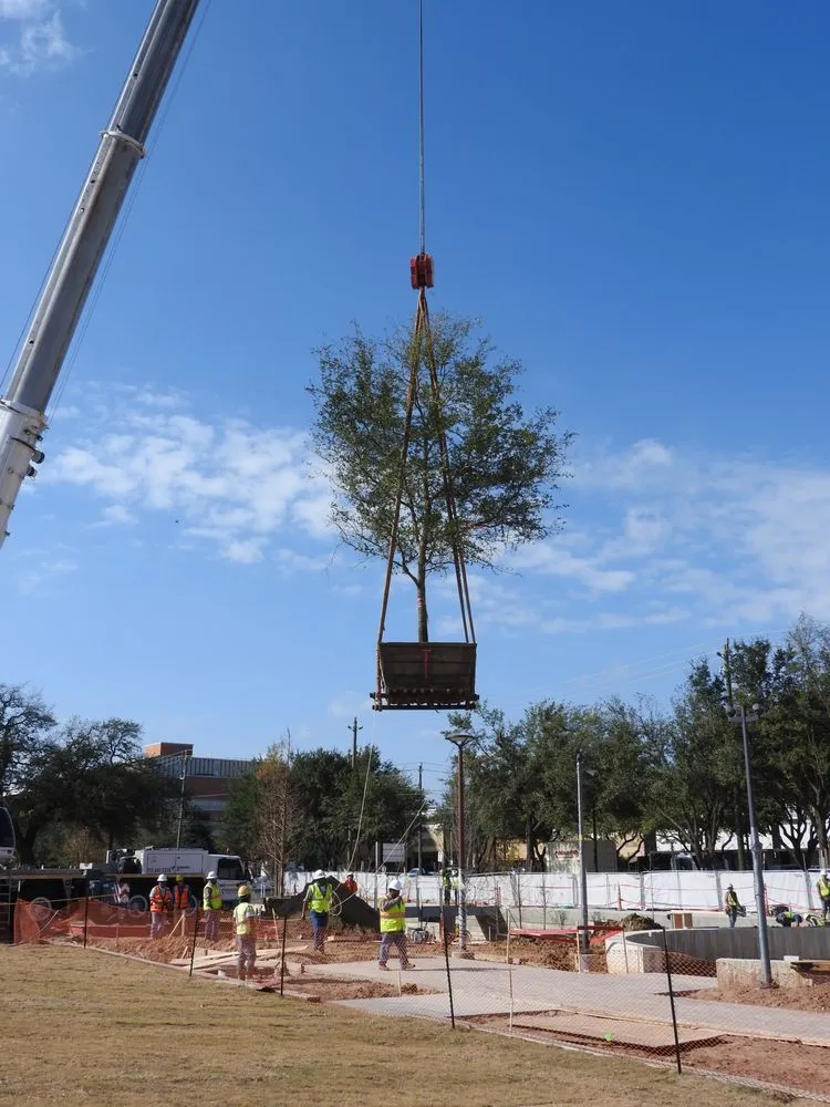 Expert lawn care service experts serving Stafford, TX - HLS Landscape