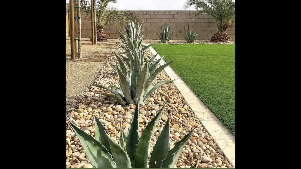 Expert landscape design in Rancho Cucamonga, CA - HLS Landscaping