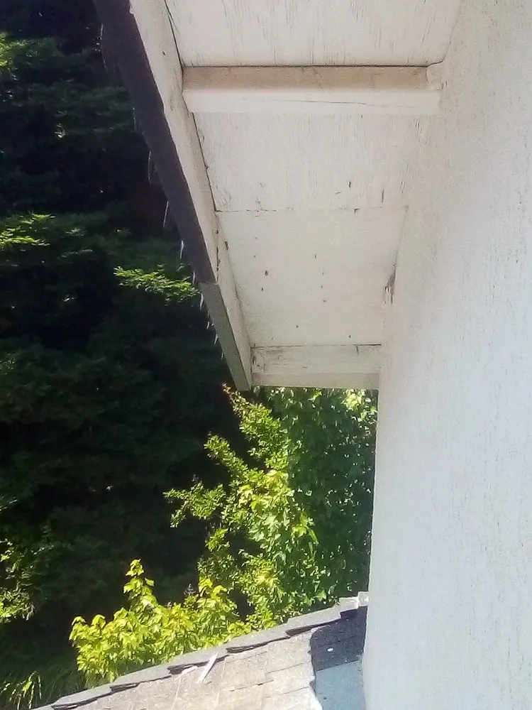 Trusted landscape design experts serving Red Bluff, CA - H&M Handyman Services