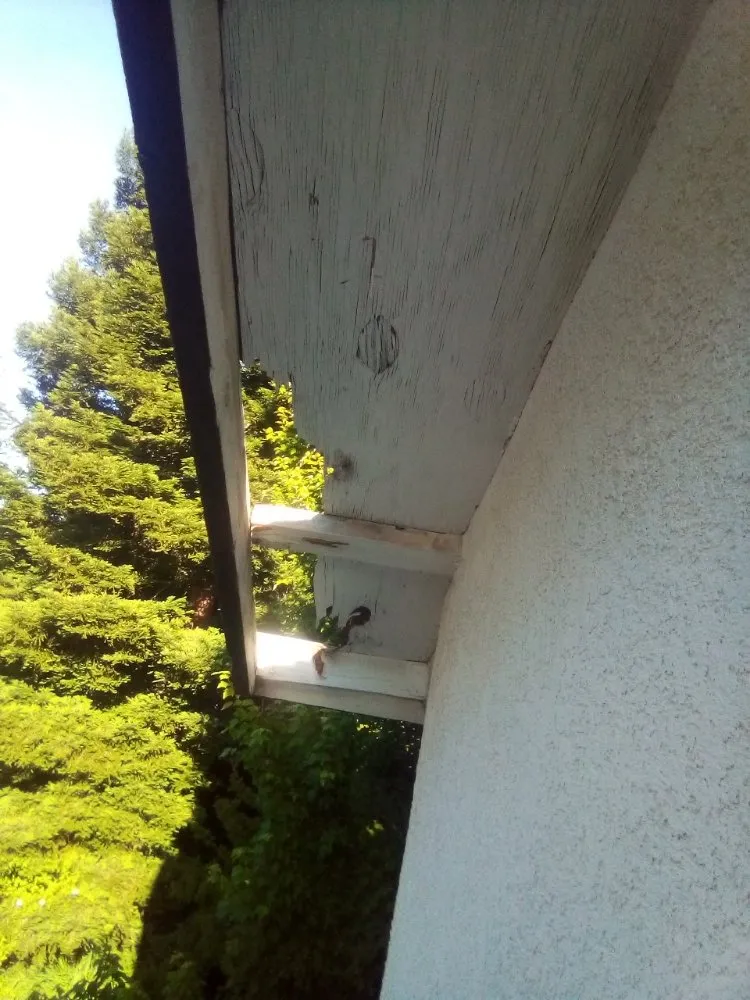 Expert lawn care service experts serving Red Bluff, CA - H&M Handyman Services