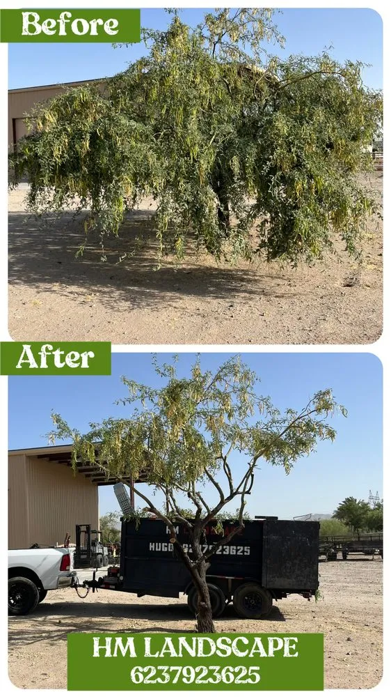 Top-rated landscaping services in Buckeye, AZ - HM Landscape & Paint