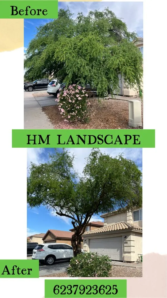Expert yard cleanup service in Buckeye, AZ - HM Landscape & Paint