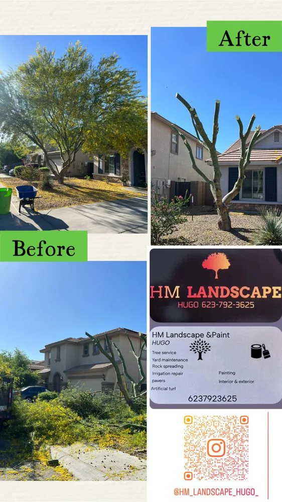 Expert landscape installation experts serving Buckeye, AZ - HM Landscape & Paint