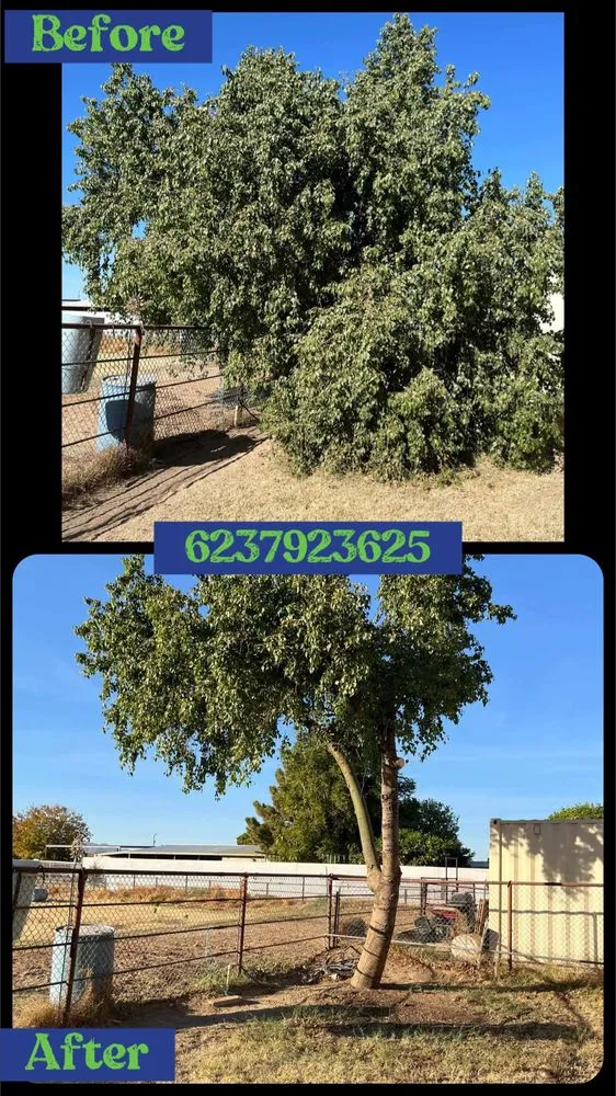 Reliable lawn mowing service experts serving Buckeye, AZ - HM Landscape & Paint