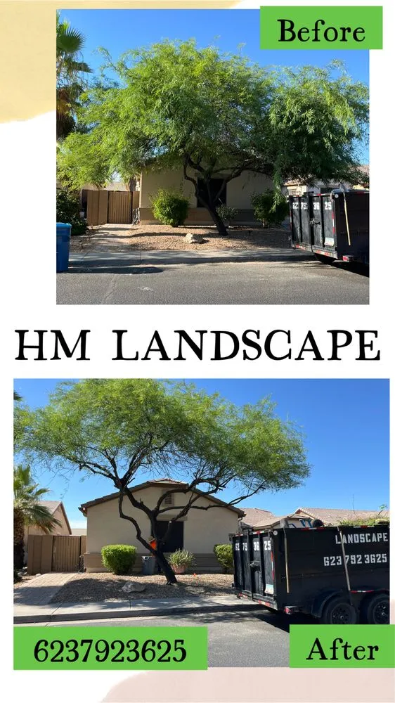Affordable garden landscaping with custom design across Buckeye, AZ - HM Landscape & Paint
