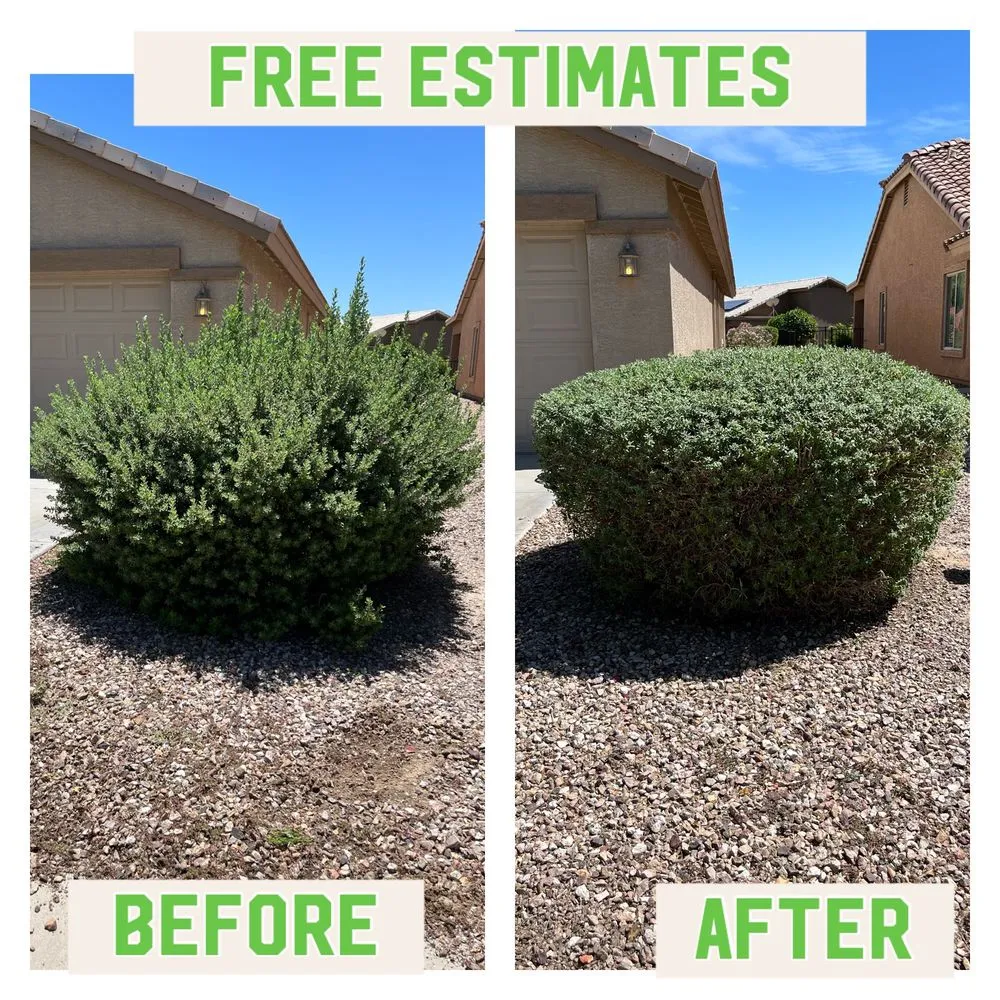 Top-rated landscaping services for beautiful yards across Buckeye, AZ - HM Landscape & Paint