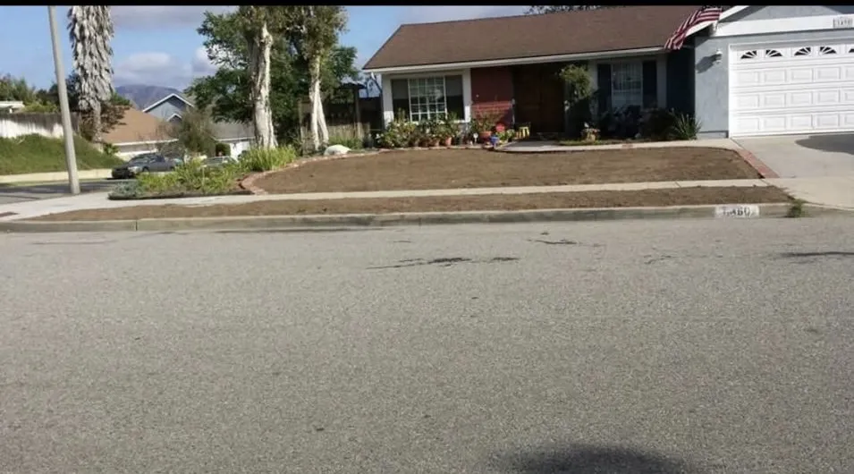 Affordable lawn care service with custom design in Lancaster, CA by HM Landscaping