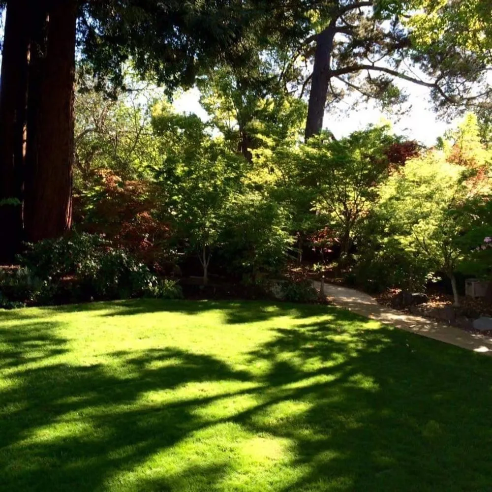 Reliable lawn mowing service experts serving Mountain View, CA - Hm Landscaping