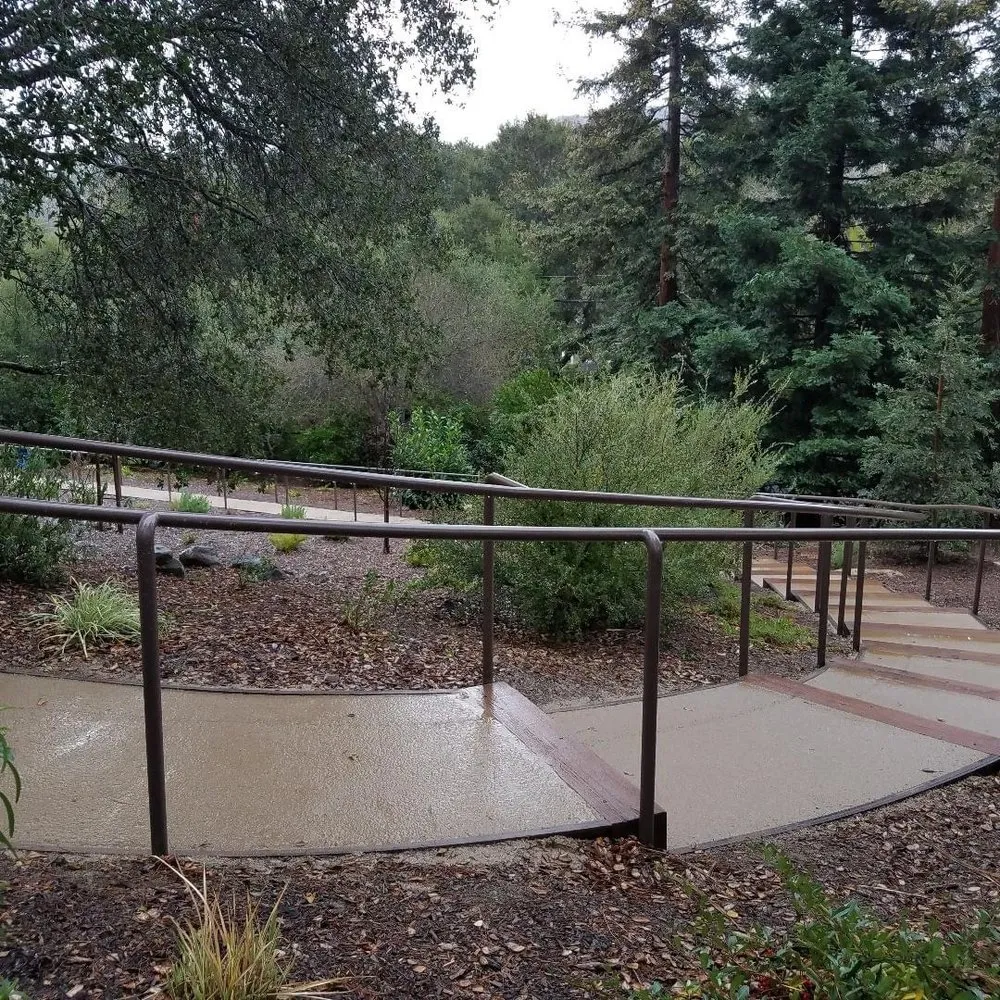 Local yard maintenance in Mountain View, CA by Hm Landscaping