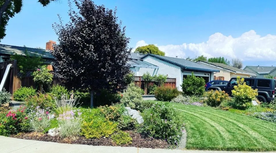 Professional landscape design near you across Mountain View, CA - Hm Landscaping