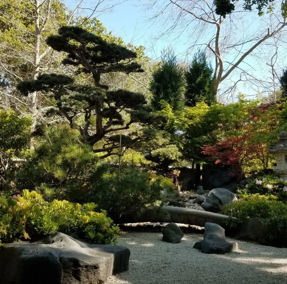 Professional lawn mowing service near you across Mountain View, CA - Hm Landscaping