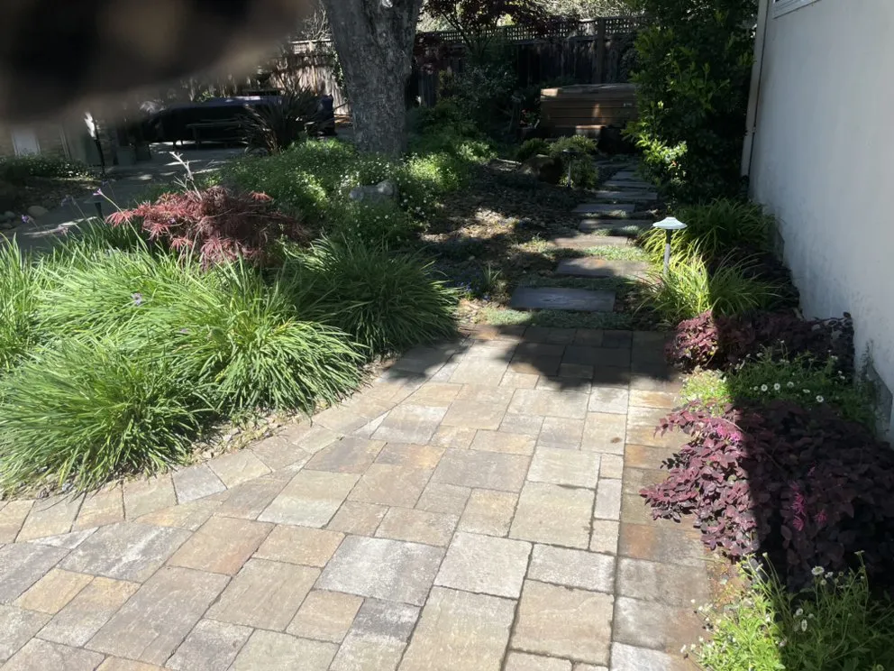 Professional landscaping services in Mountain View, CA by Hm Landscaping